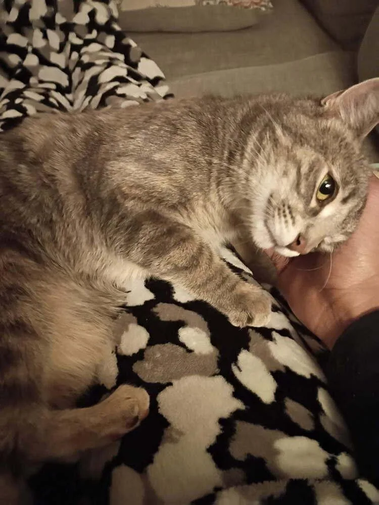 Trader Jane thumbnail 3