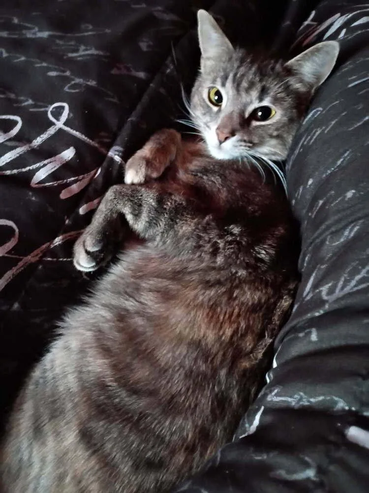 Trader Jane thumbnail 4