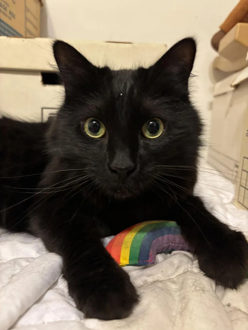 Ebenezer thumbnail 2