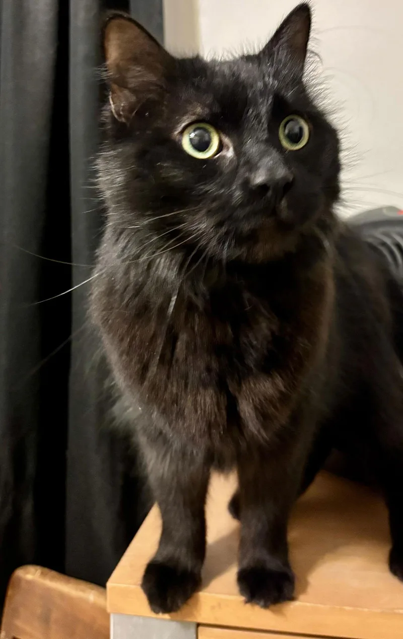 Ebenezer thumbnail 3