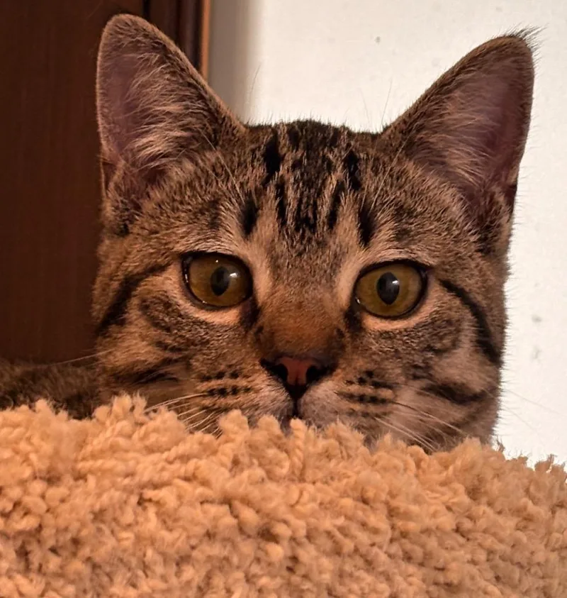 Little Sami thumbnail 2