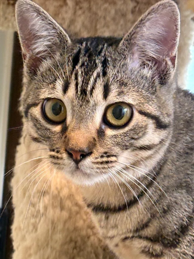 Little Sami thumbnail 4