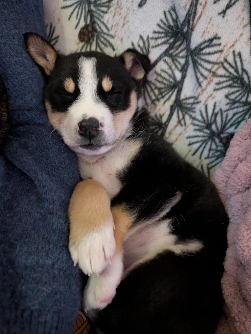 Marty Mcfly thumbnail 2