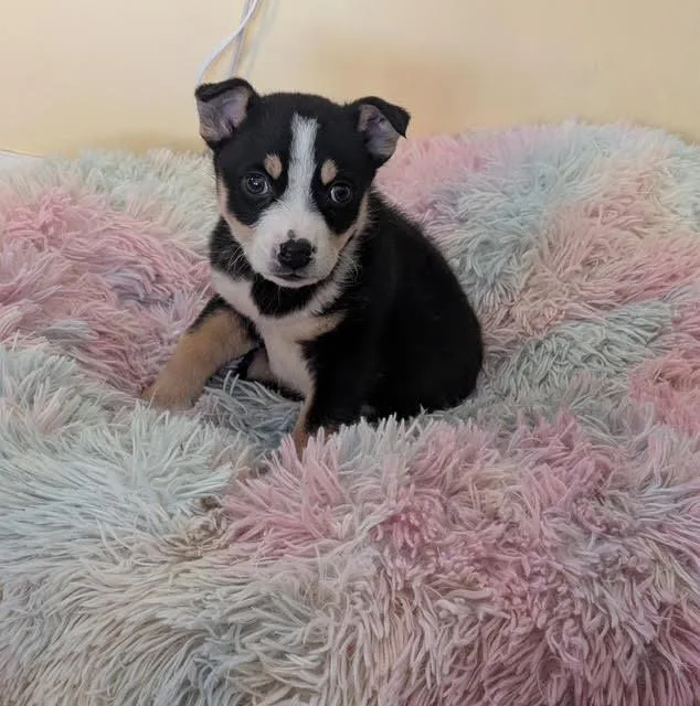 Marty Mcfly thumbnail 3