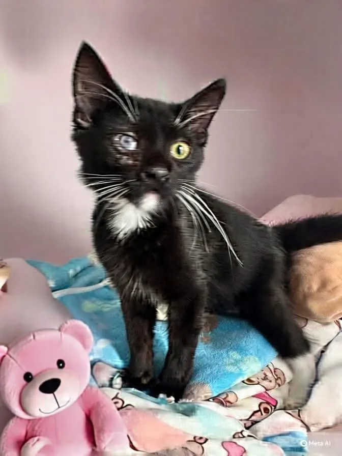 Gummy Bear thumbnail 3