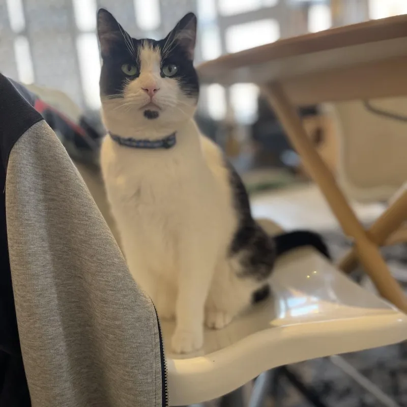 Cranberry Juice thumbnail 2