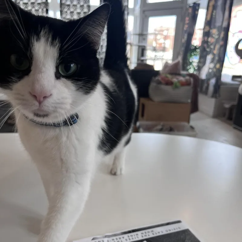 Cranberry Juice thumbnail 3