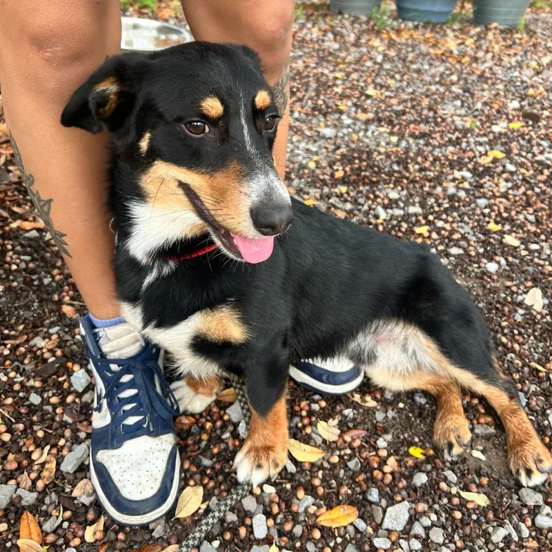 Egbert Longbottom thumbnail 2