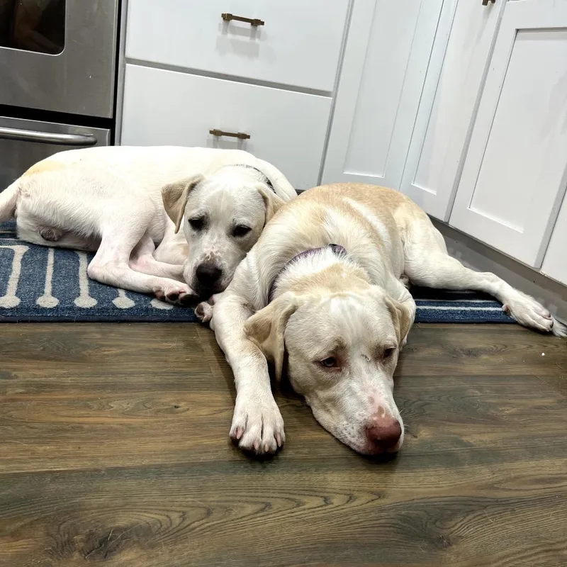 Michael Gray thumbnail 2