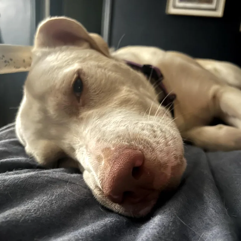 Michael Gray thumbnail 5