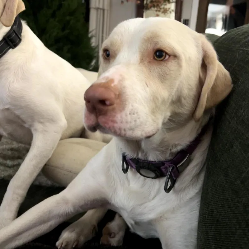 Michael Gray thumbnail 6