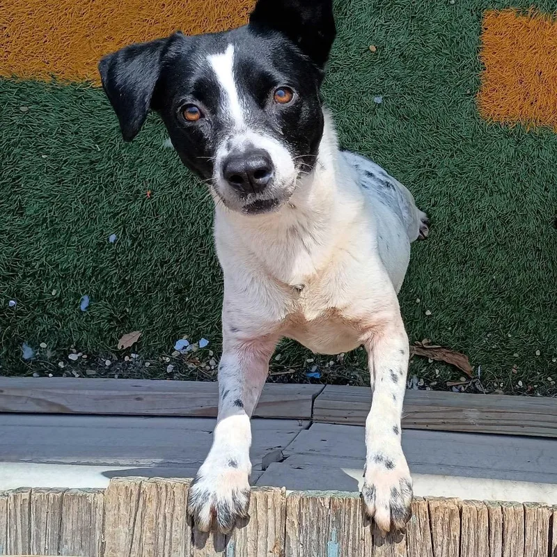 Michelle thumbnail 2