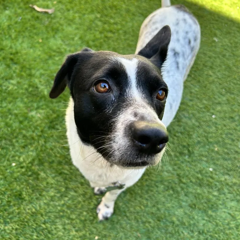 Michelle thumbnail 3