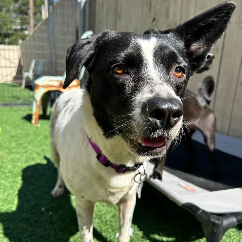 Michelle thumbnail 4