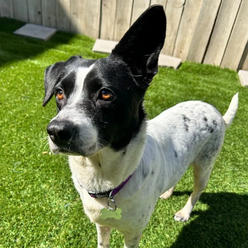 Michelle thumbnail 5