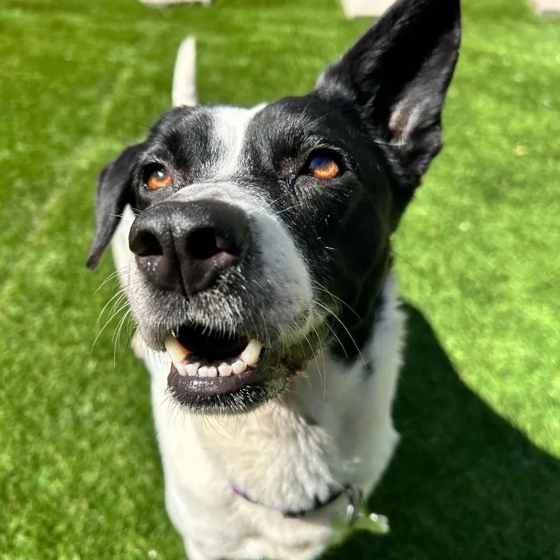 Michelle thumbnail 6