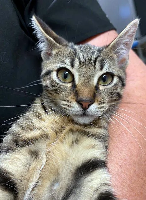 Mary Jane thumbnail 6