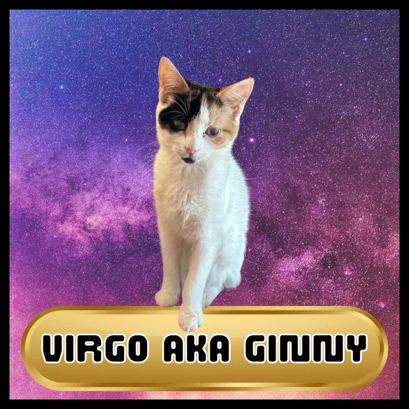 Virgo thumbnail 3