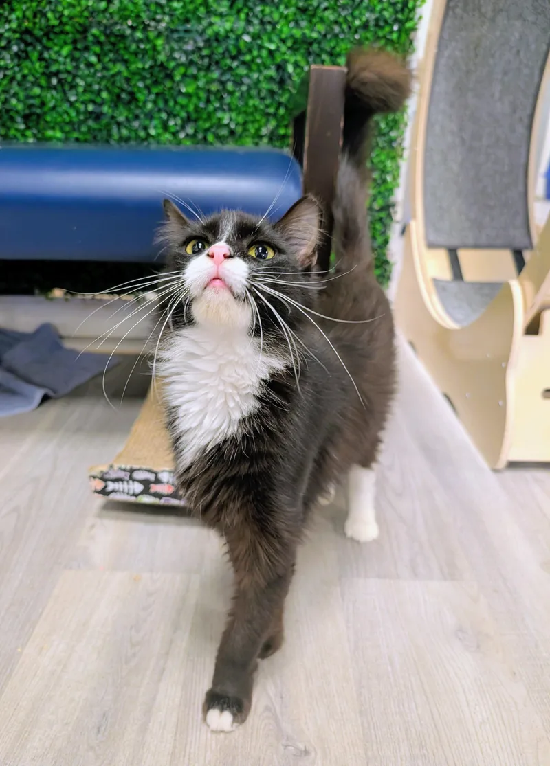 Baltimore thumbnail 2