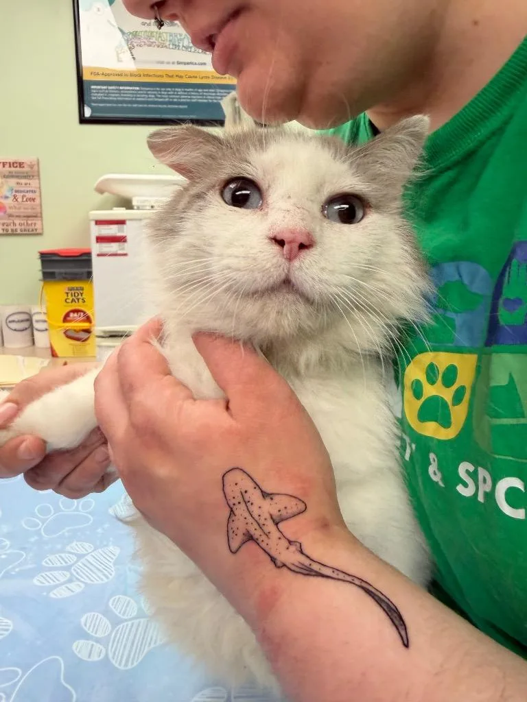 Helmsworth thumbnail 4