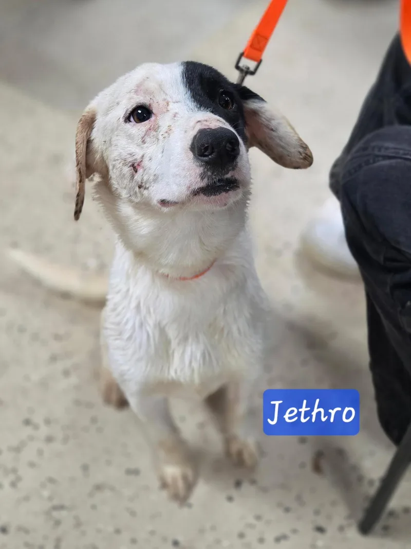 Jethro