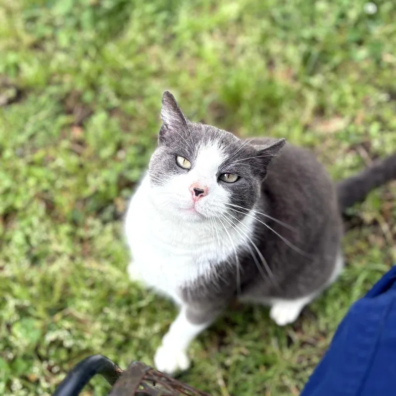 June Bug thumbnail 2