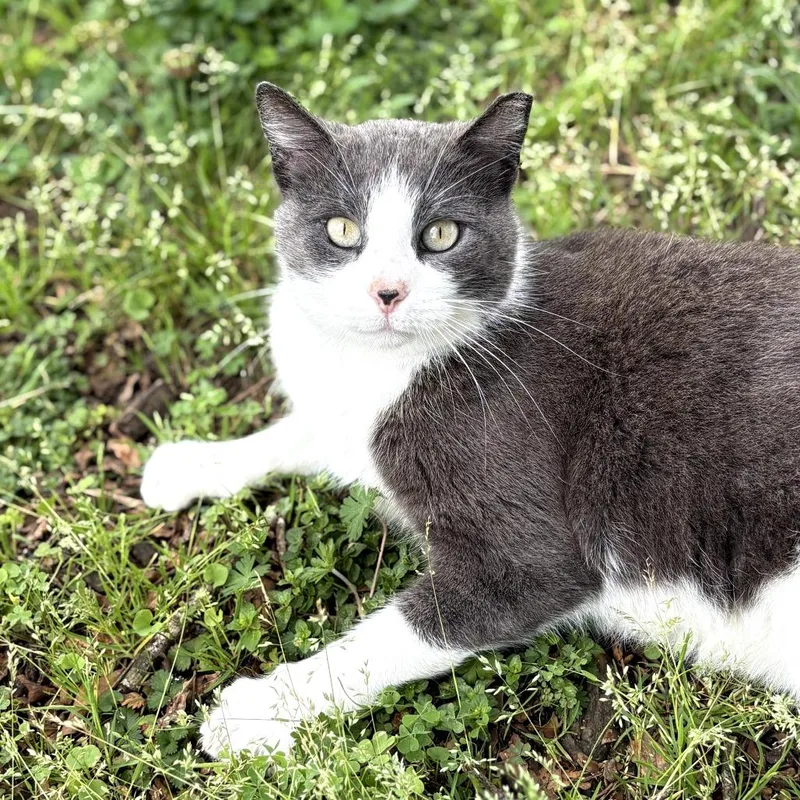 June Bug thumbnail 3