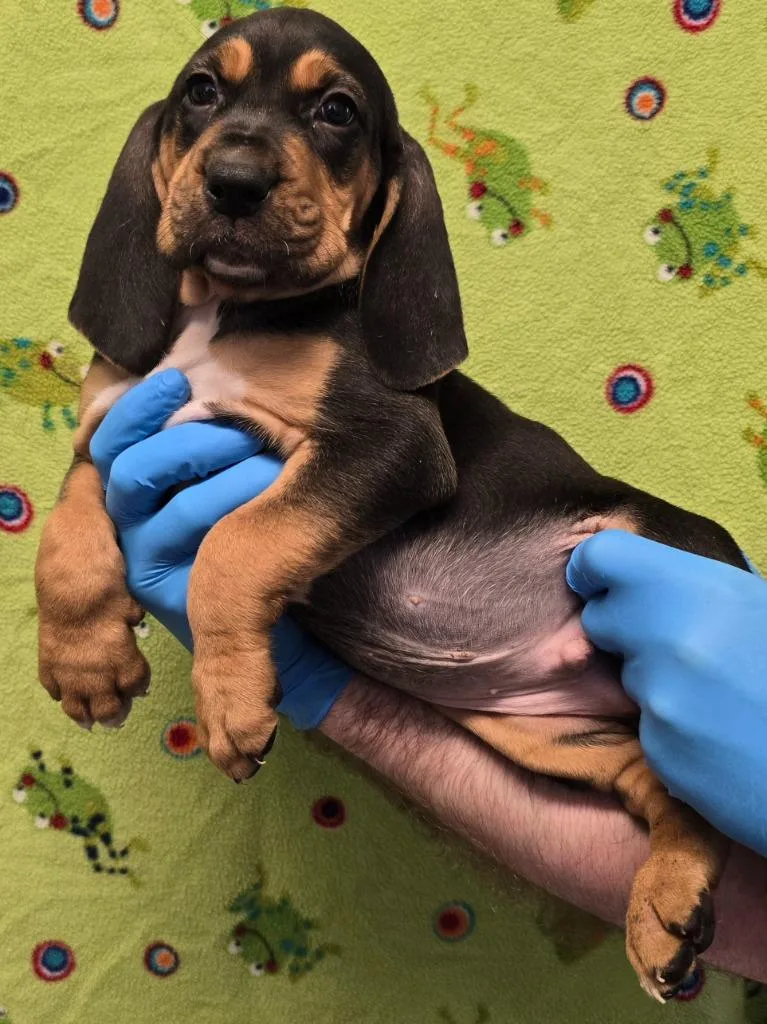 Salty Pete thumbnail 2