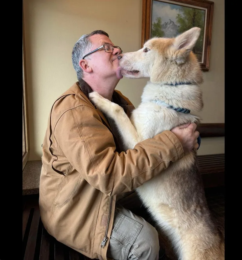 Loyal Lokie thumbnail 2