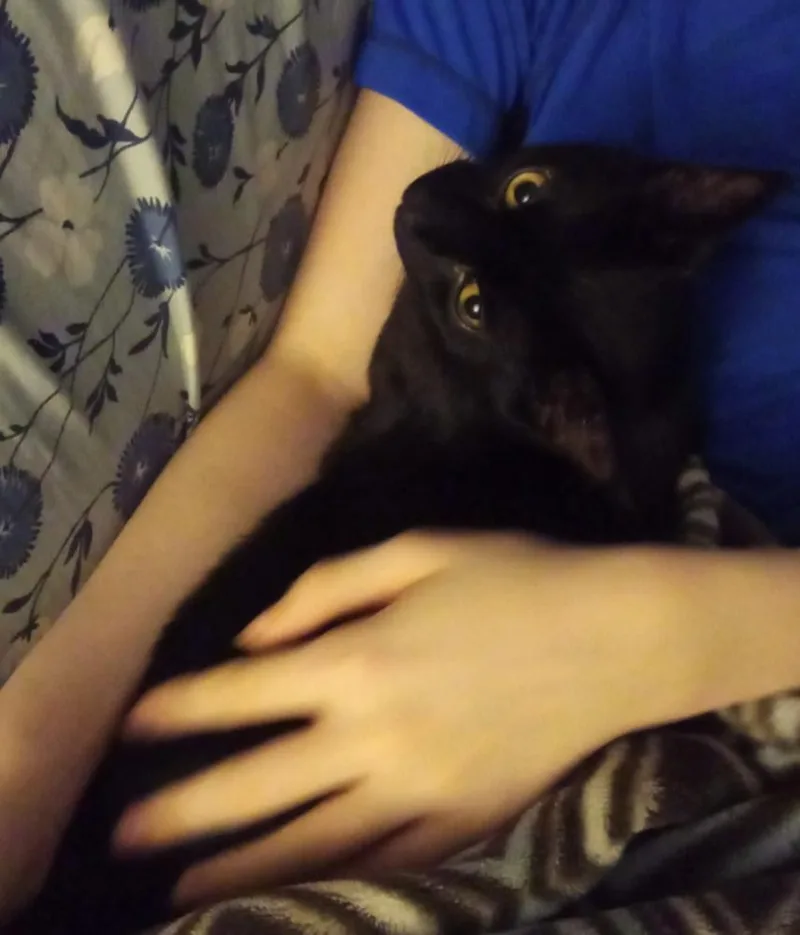 Cryptids: Lochness thumbnail 3