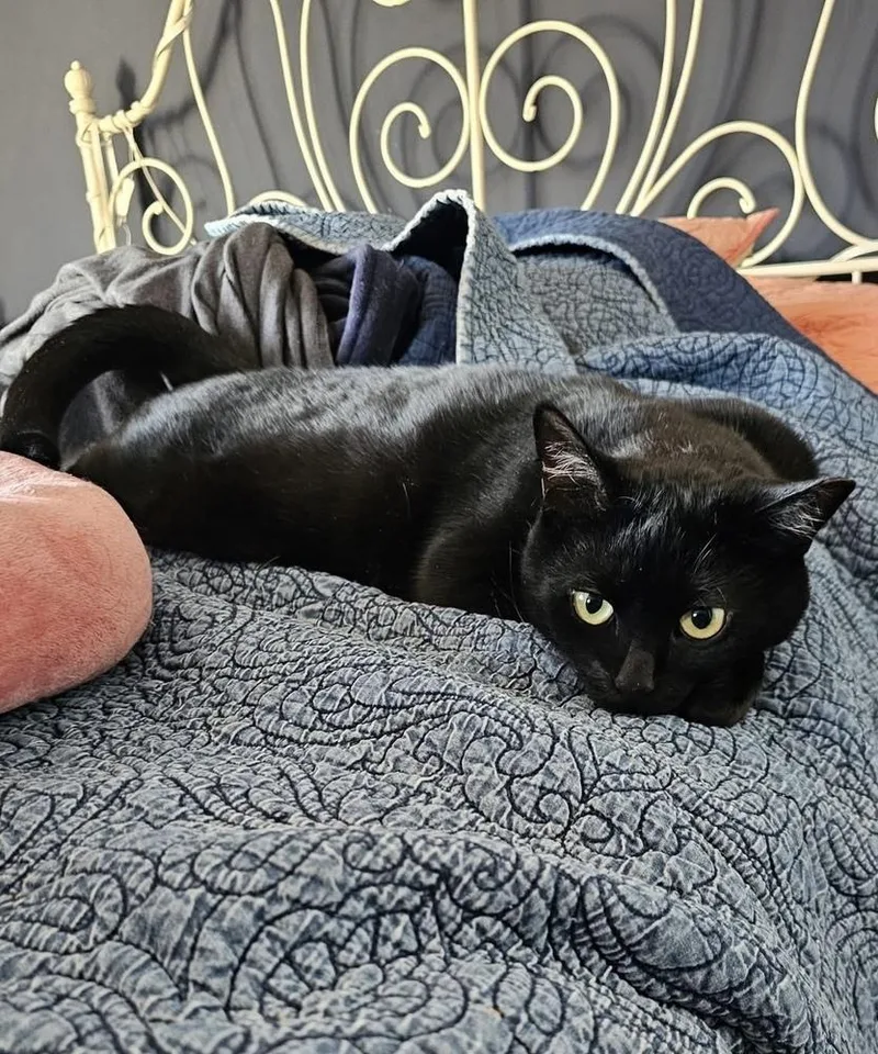 Green Day Mama:  thumbnail 5