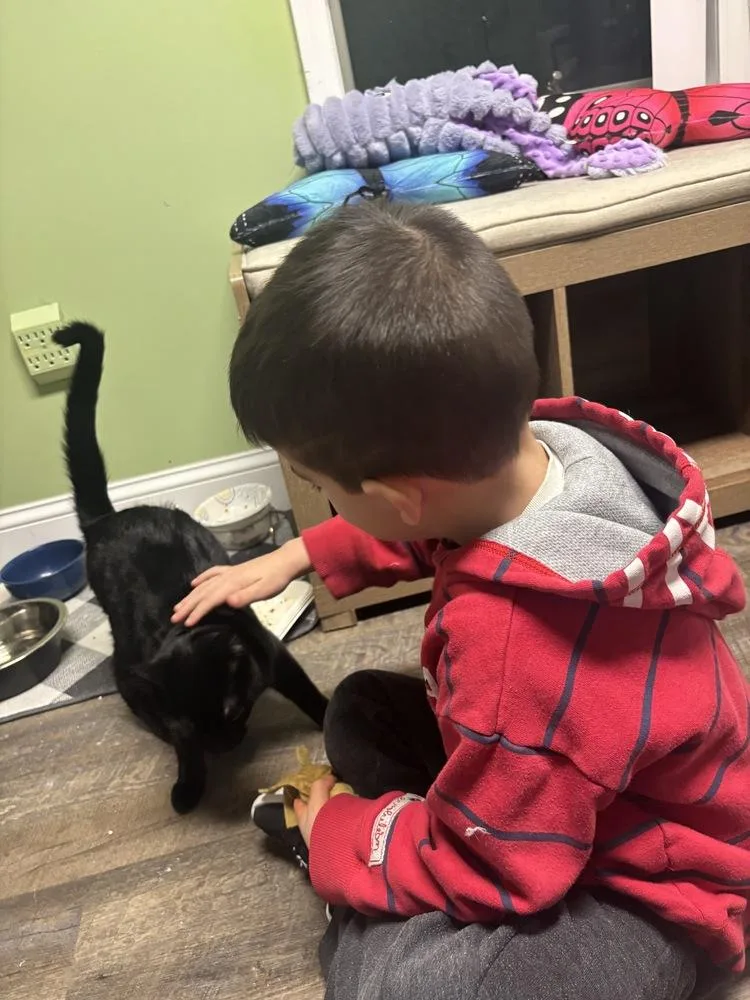 Omar Sharif thumbnail 5