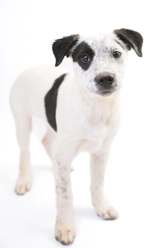 Kemmunett thumbnail 2