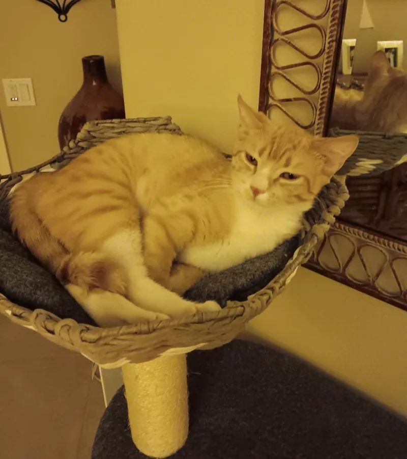 Fiona thumbnail 3