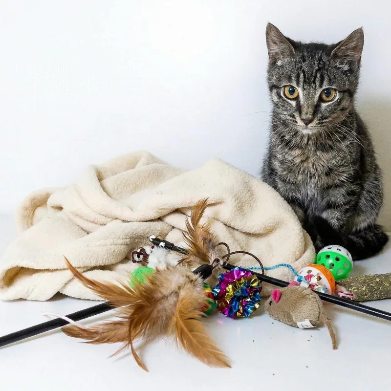 Smooth Jazz thumbnail 2