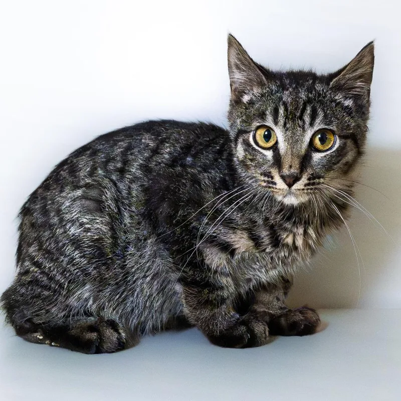 Smooth Jazz thumbnail 3