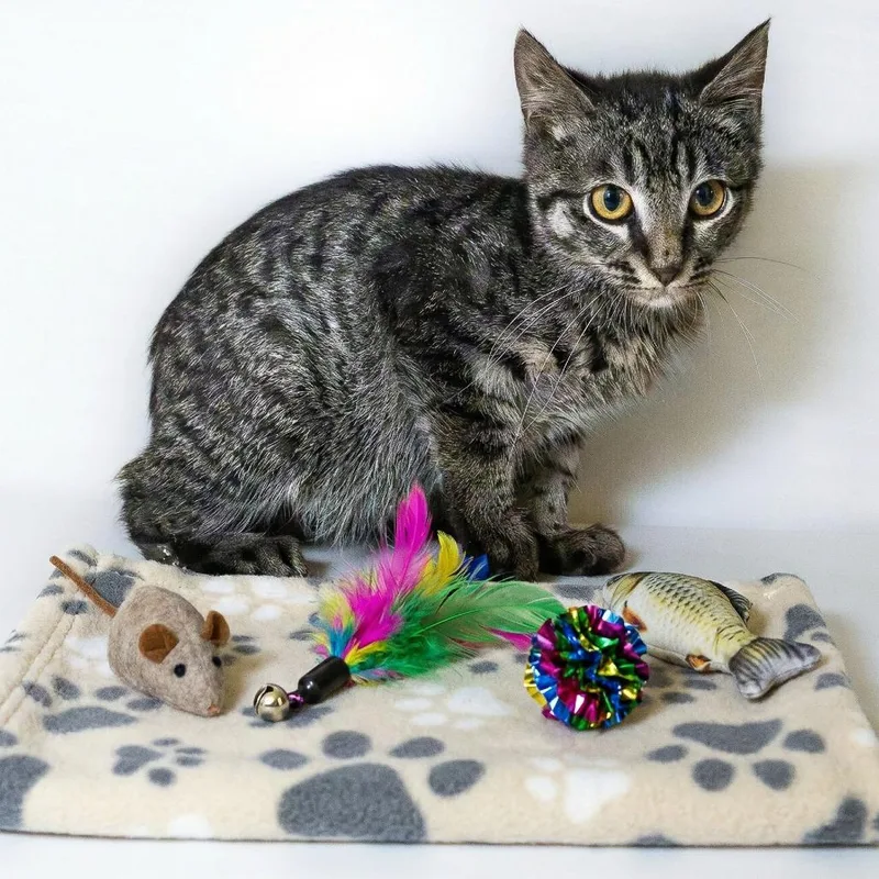 Smooth Jazz thumbnail 4