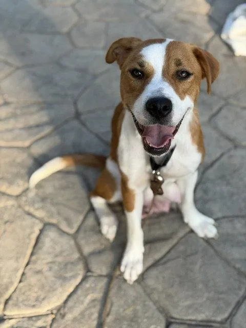 Mama Nova Sky