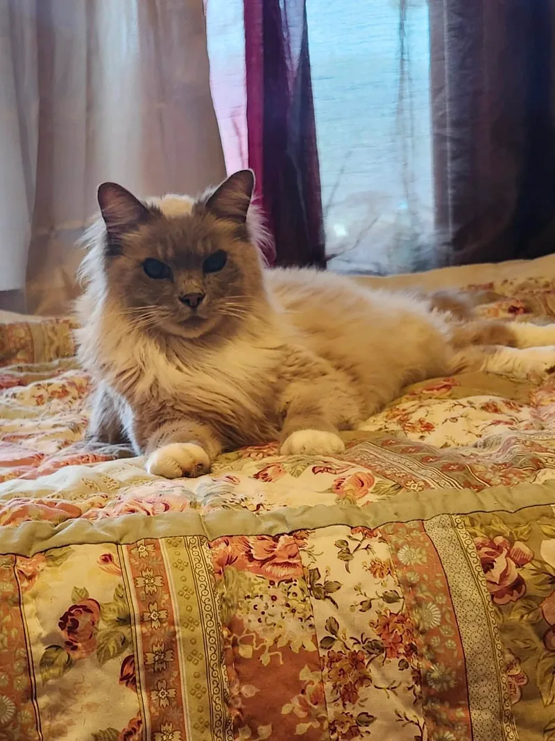 Big Daddy thumbnail 8