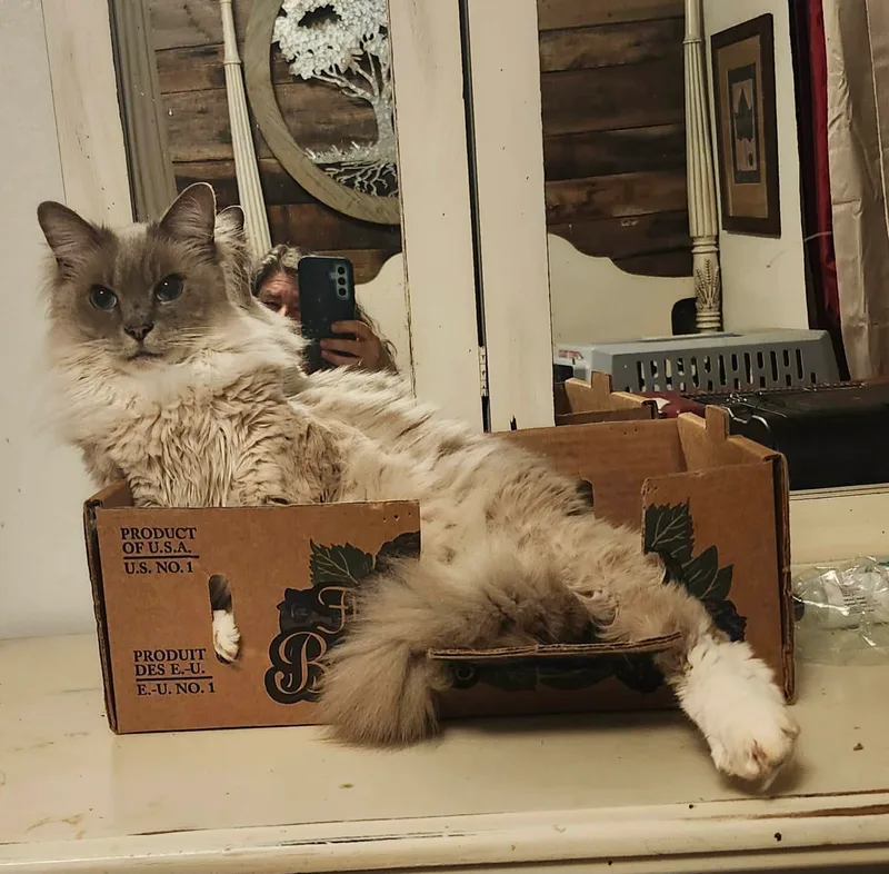 Big Daddy thumbnail 7