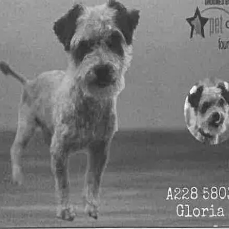 Gloria A thumbnail 2