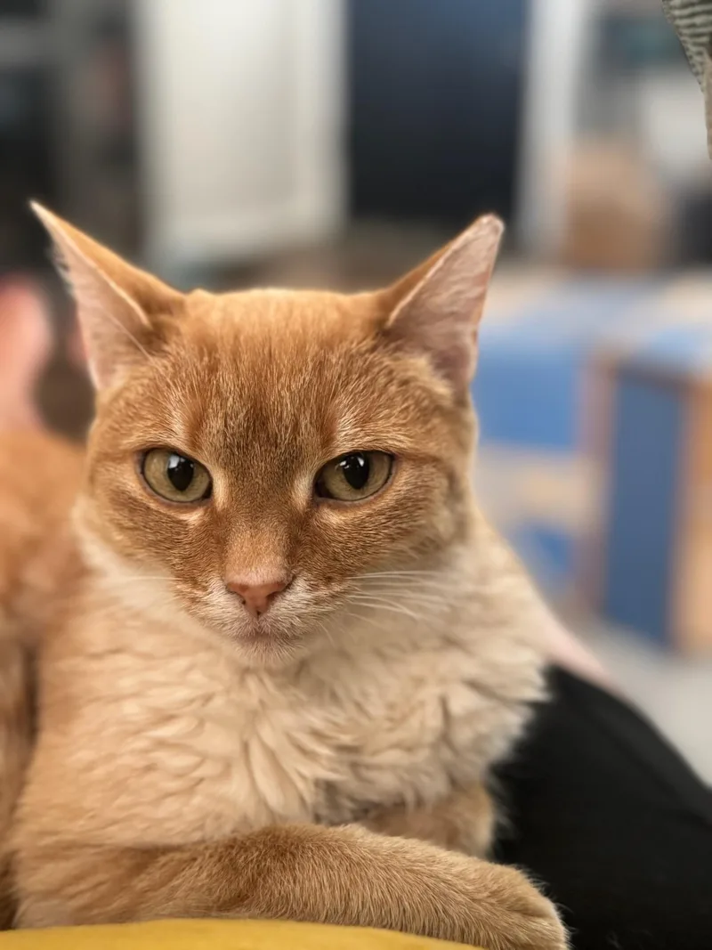 Amy thumbnail 3