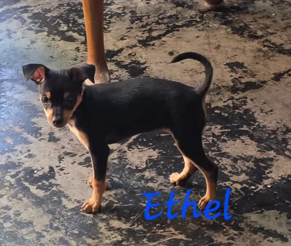 Ethel