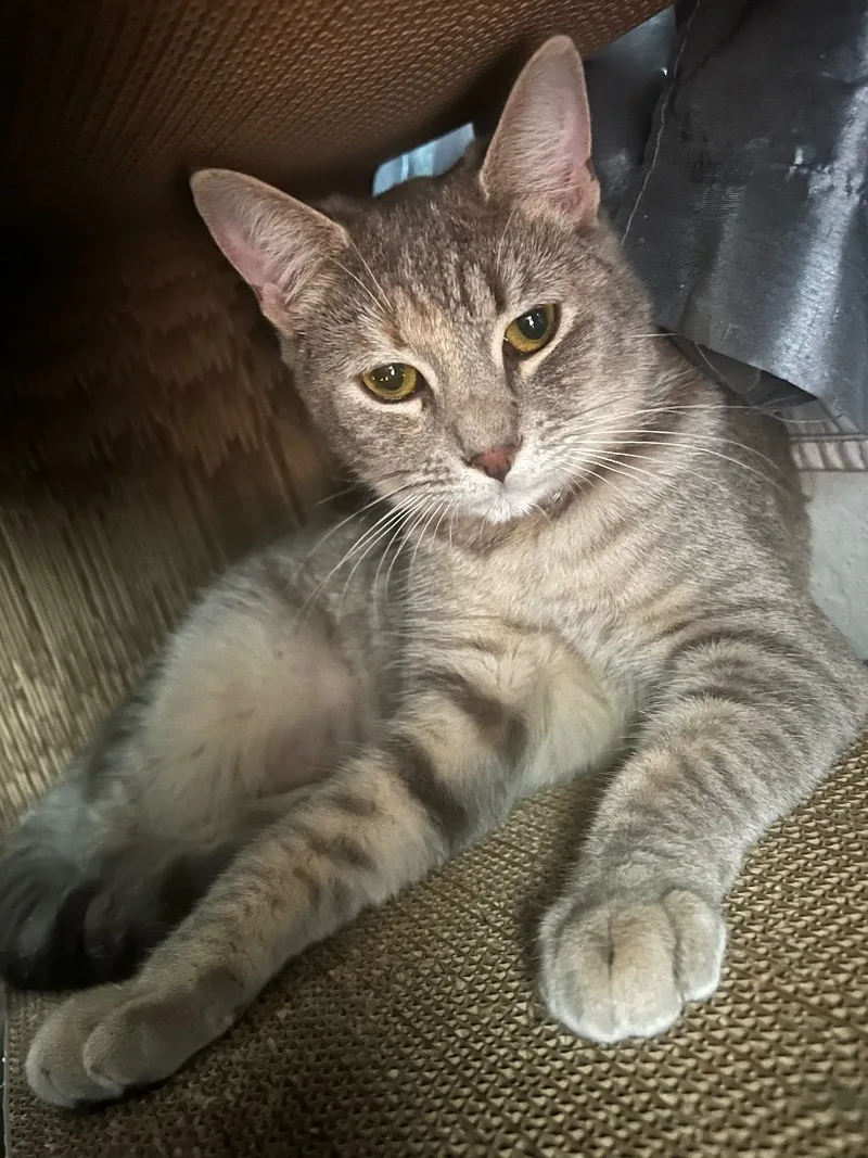 Hermoine thumbnail 5