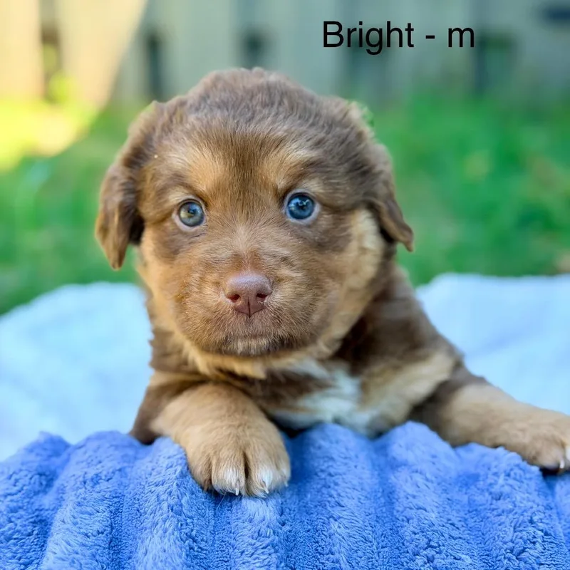 Bright thumbnail 2