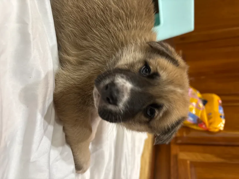 Wednesday thumbnail 3