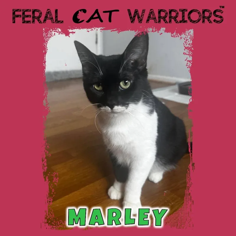 Marley EH