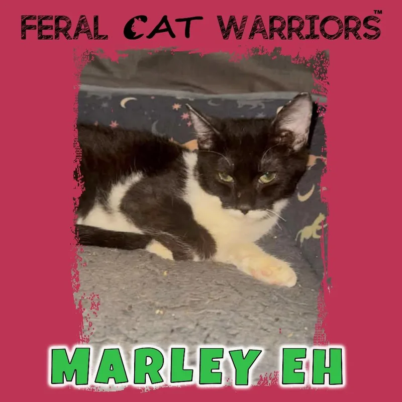 Marley EH thumbnail 2