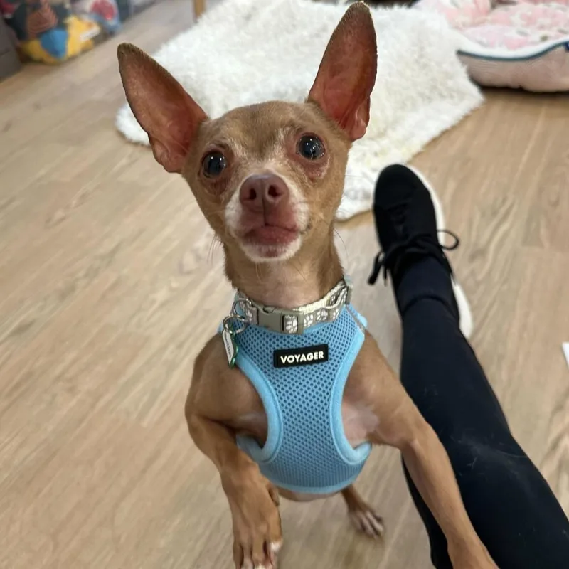 Hamilton thumbnail 2