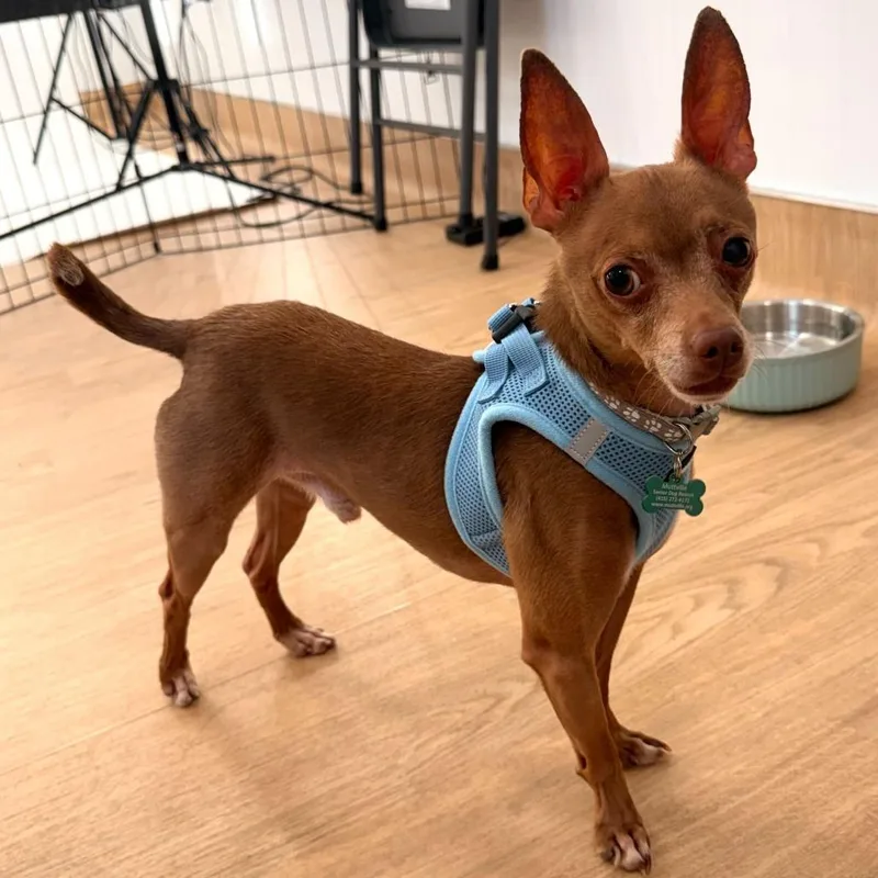 Hamilton thumbnail 3